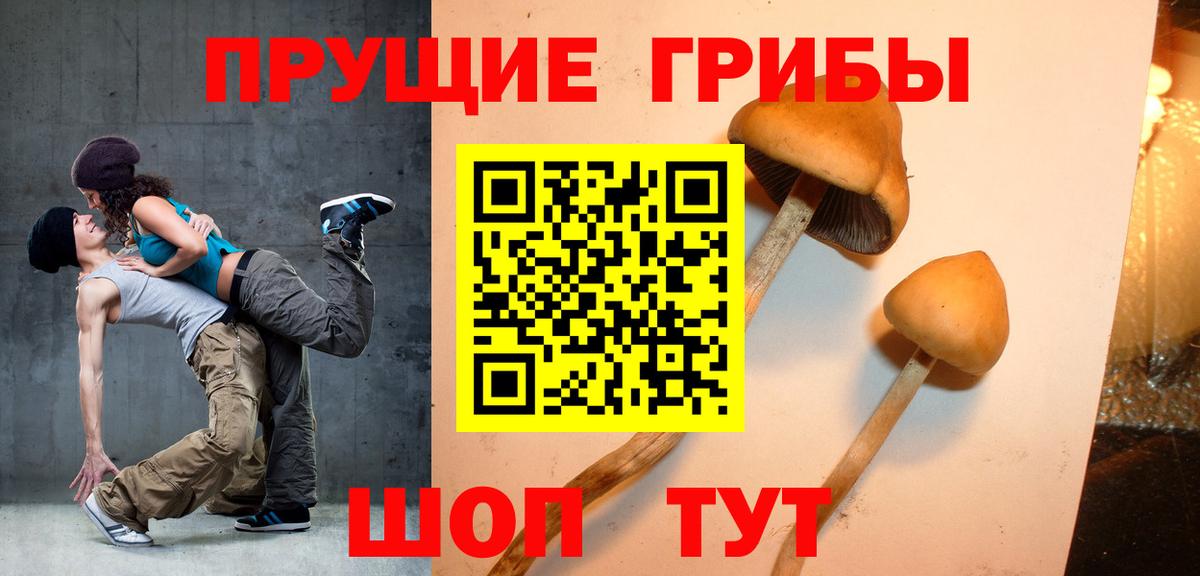 Галлюциногенные грибы Magic Shrooms  Вход с VPN  Севастополь  Псилоцибиновые грибы Psilocybe 
