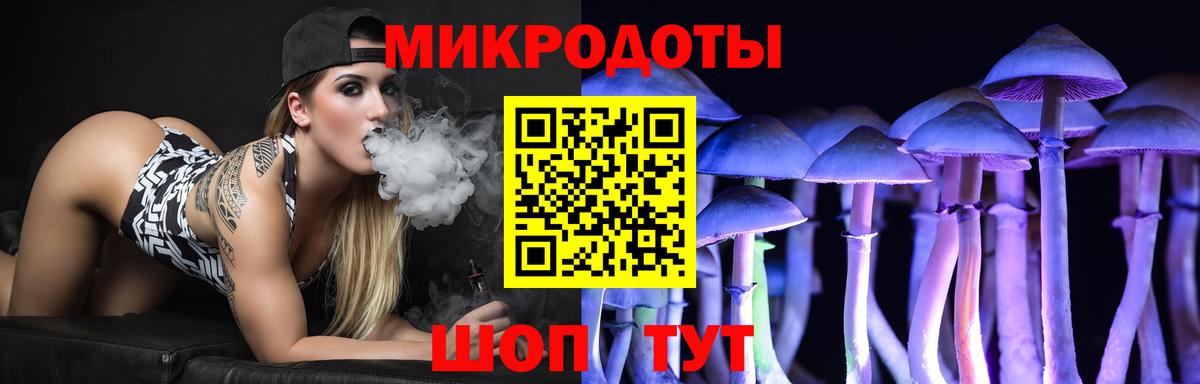 Галлюциногенные грибы Psilocybine cubensis Севастополь